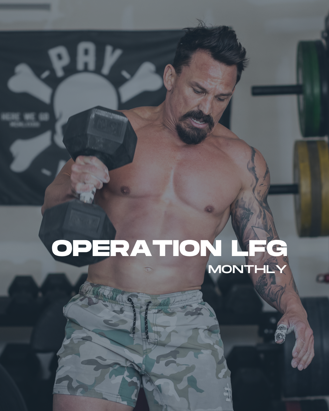 Operation LFG